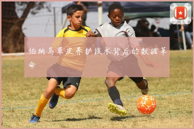 伯纳乌草皮养护技术背后的数据革命
