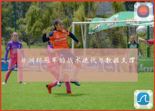 非洲杯冠军的战术迭代与数据支撑