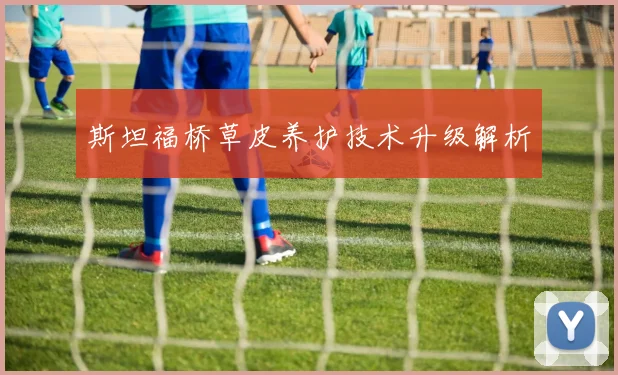 斯坦福桥草皮养护技术升级解析