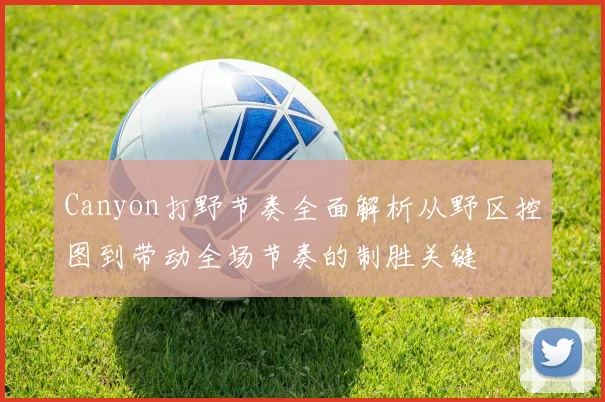 Canyon打野节奏全面解析从野区控图到带动全场节奏的制胜关键